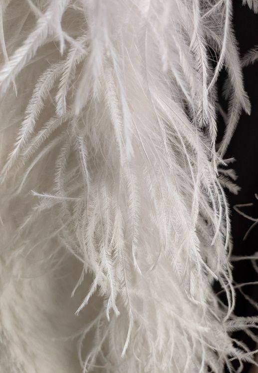 オーストリッチフロート 羽根 社交ダンス DIY オーダーメイド