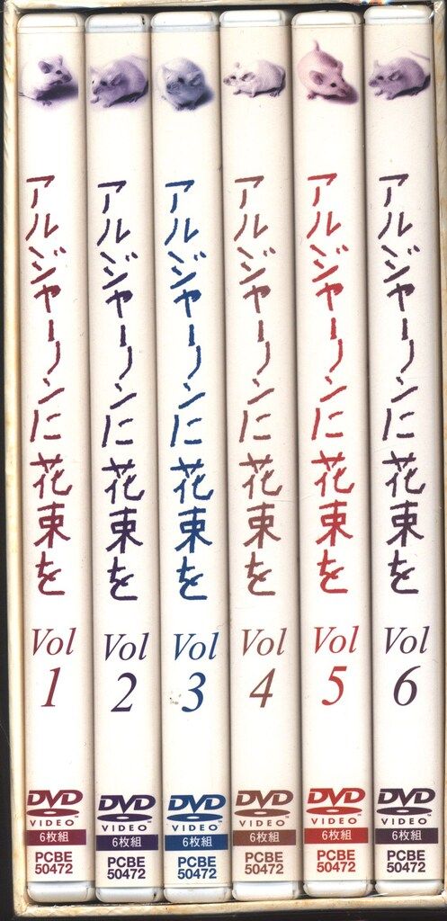 ドラマDVD アルジャーノンに花束を DVD-BOX 【公式通販】