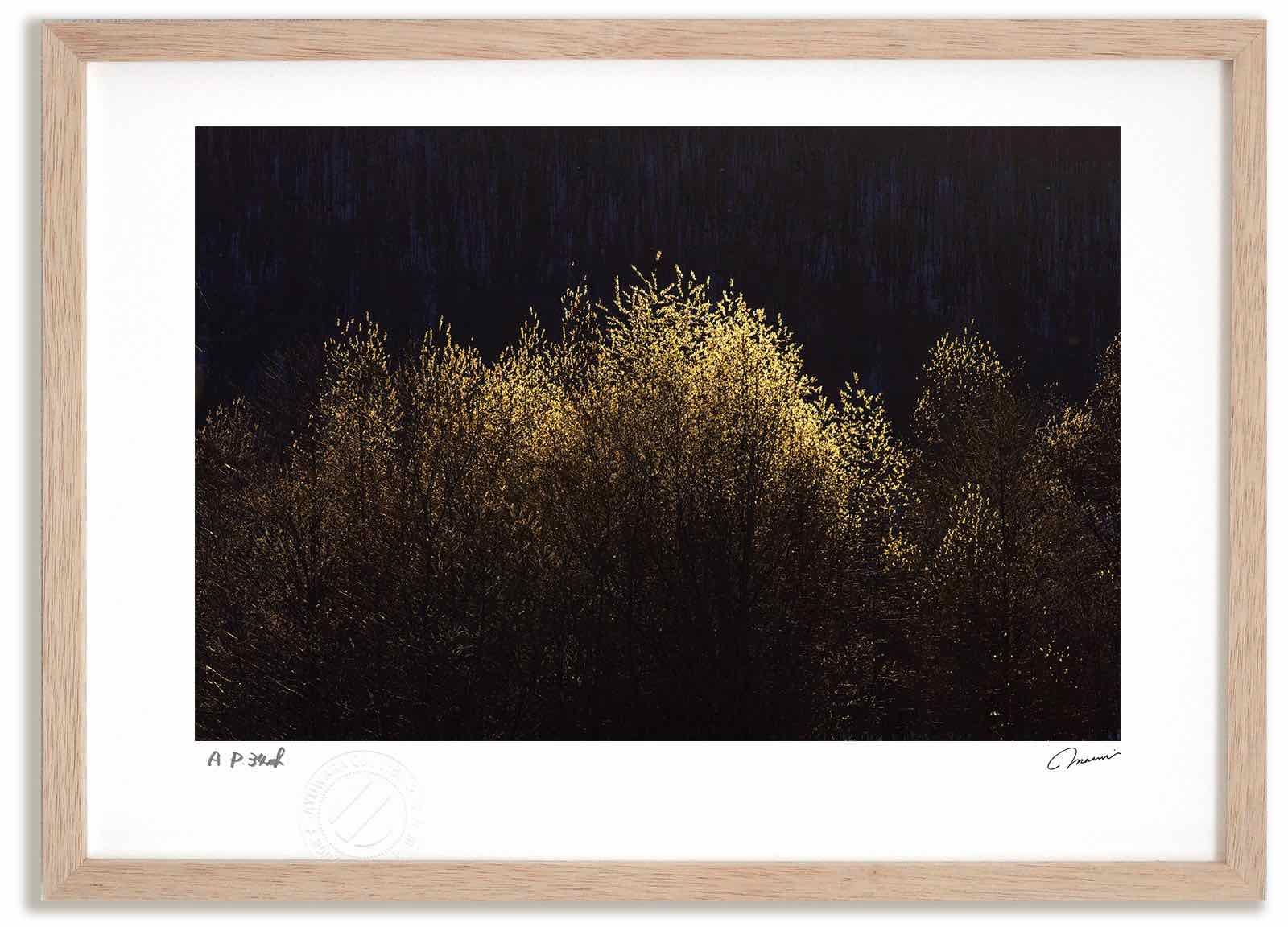アートフォト 絵画 夕日のねこやなぎ1 高橋真澄/インテリア 額入り 額装込 風景画 油絵 ポスター アート アートパネル リビング 玄関 プレゼント モダン アートフレーム 飾る Mサイズ おしゃ