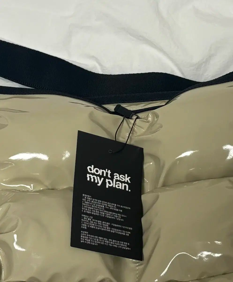 私のプランを聞かないで