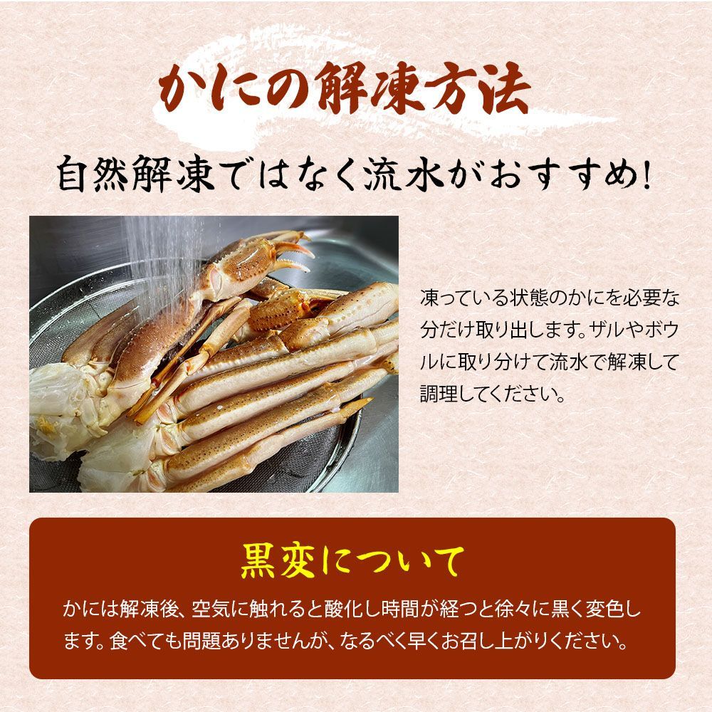 【年内発送可】ズワイガニ むき身 5L 生冷ずわい脚むき身 蟹 カニ 500g ずわい蟹  送料無料 かにつめ カニしゃぶ カニ鍋 お歳暮 ギフト 年末年始 shr-027