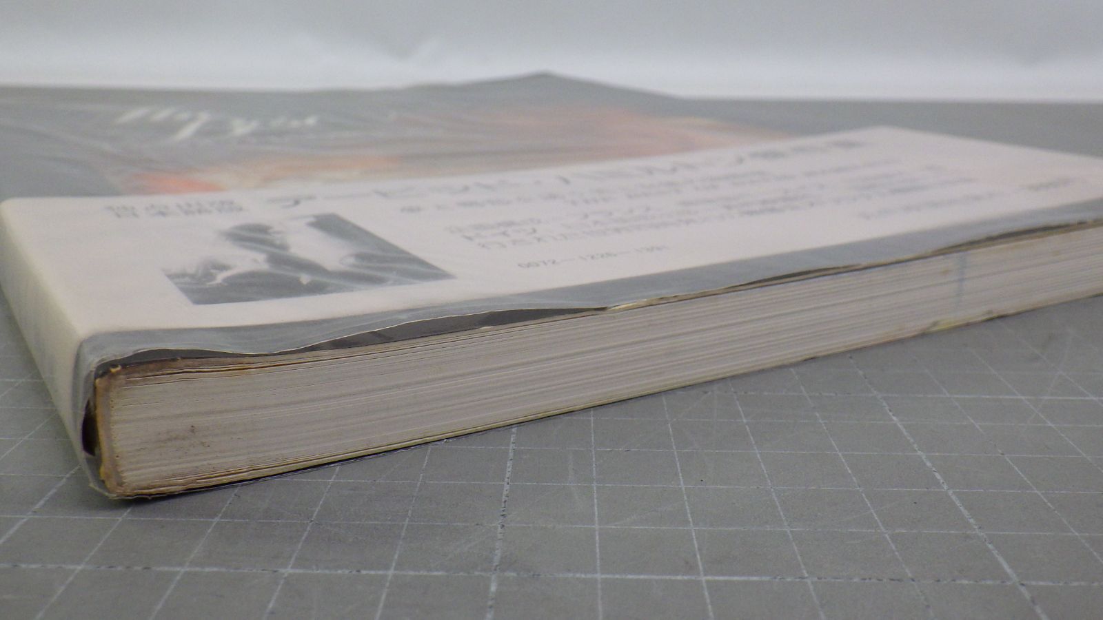 デビッド・ハミルトン 傑作集(日本語版) 独占出版 1976年発行