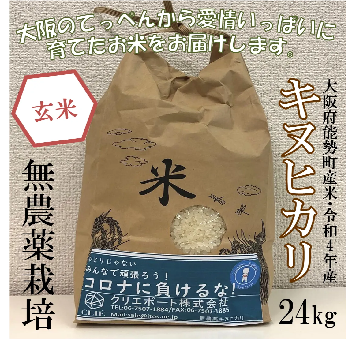 【令和４年産/無農薬栽培】大阪のてっぺんキヌヒカリ　玄米24kg　大阪府能勢産