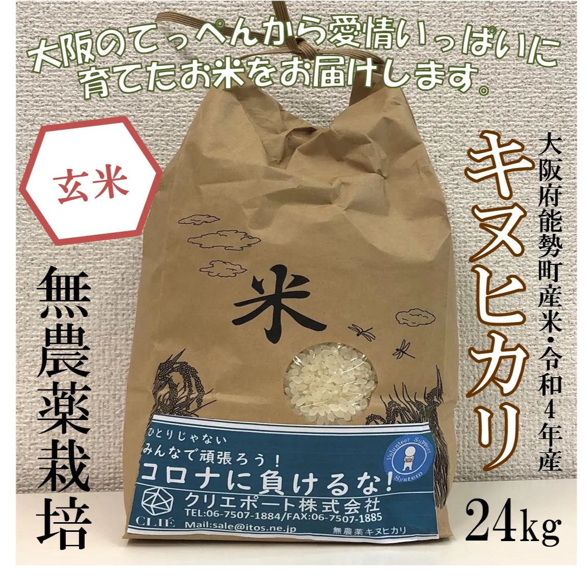 【令和４年産/無農薬栽培】大阪のてっぺんキヌヒカリ玄米24kg大阪府能勢産