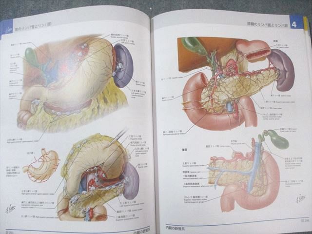 ELSEVIER/南江堂 ネッター解剖学アトラス/別冊学習の手引き 原書第6版 2016/2019 計2冊 055R3D ELSEVIER/南江堂 ネッター解剖学アトラス/別冊学習の手引き 原書