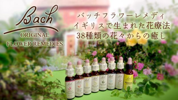 お好み4本】バッチフラワーレメディ
