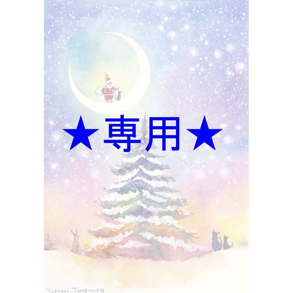 RUKURUKUさま 原画 輝く夜空のささやき A5サイズ 水彩画 2731