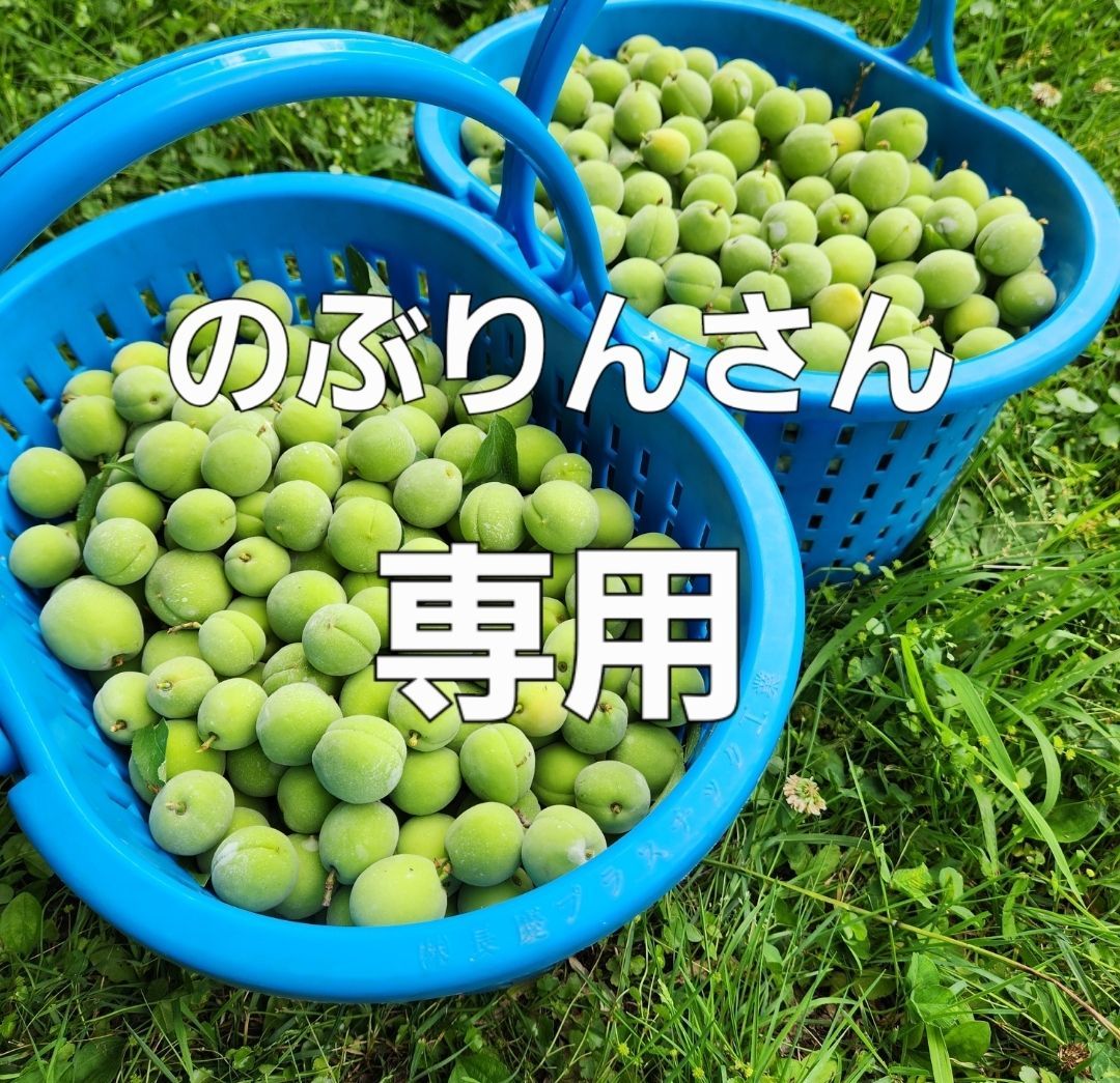 のぶりんさん