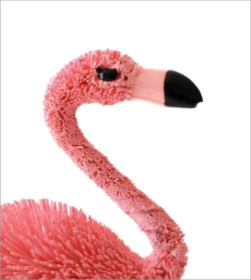 ラッピング不可 新品 未使用 たわし アニマル フラミンゴ 置物 オブジェ おしゃれ かわいい 小さい 動物 置物 Eccoterapia Com Eccoterapia Com