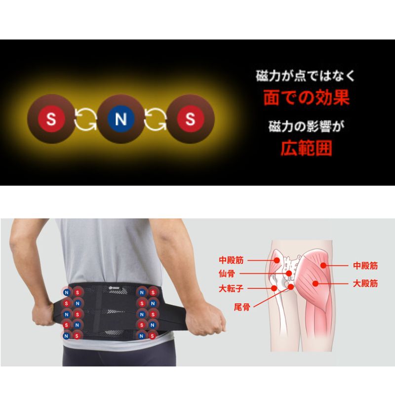 レディース