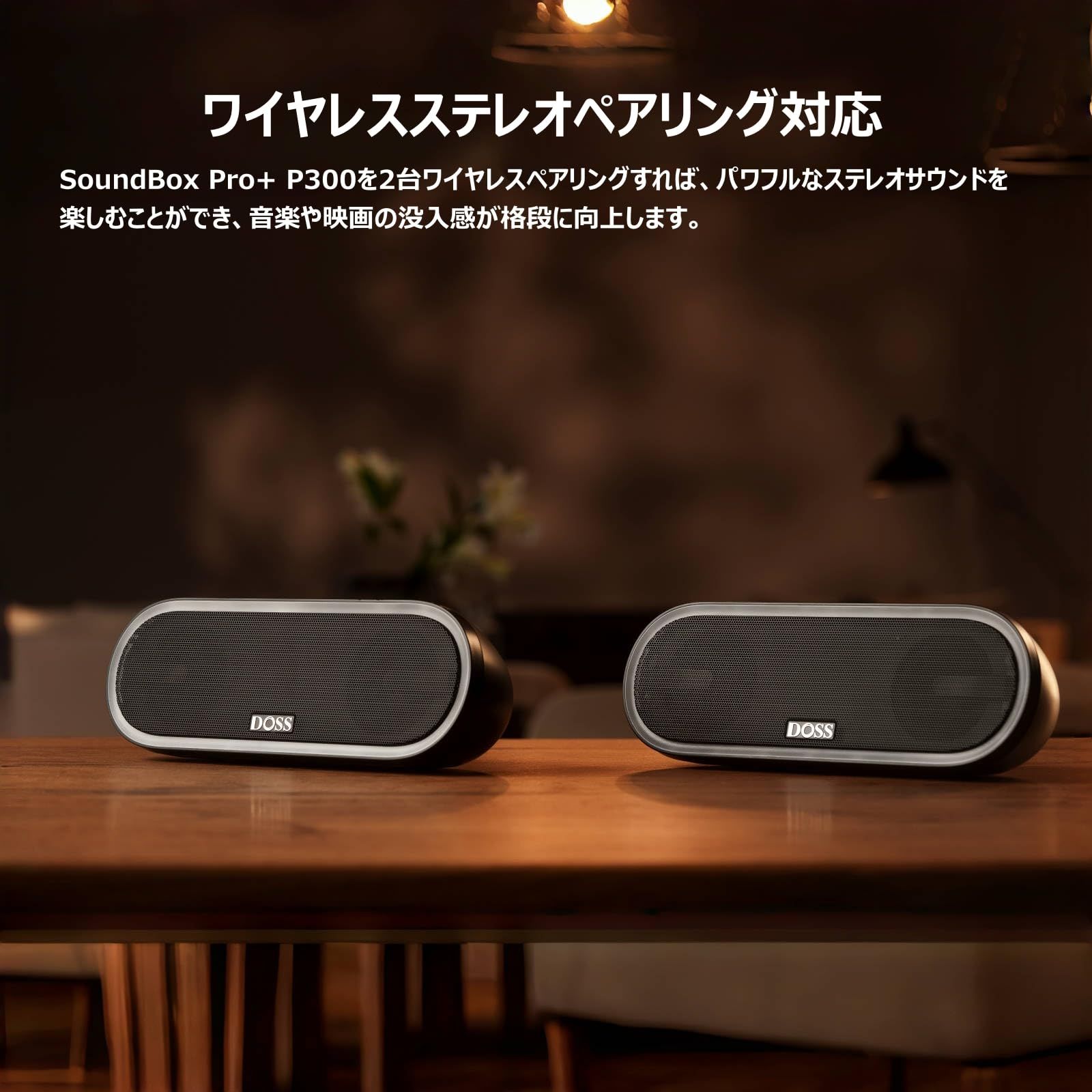 ポータブル 小型