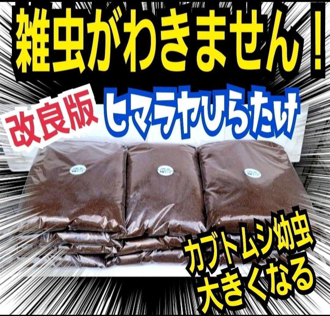 カブトムシ幼虫の土 産卵にも抜群！ 改良版 ヒマラヤひらたけ