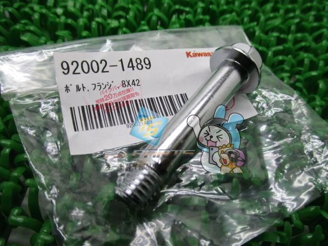 エストレヤ ブレーキキャリパーボルト 在庫有 即納 カワサキ