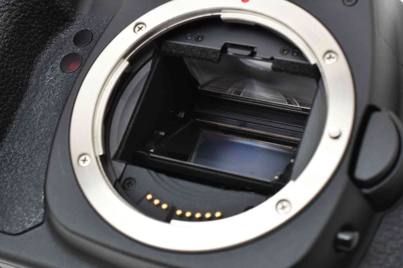 I14[6794]19☆美品☆ キヤノン Canon EOS 5D Mark II ボディ