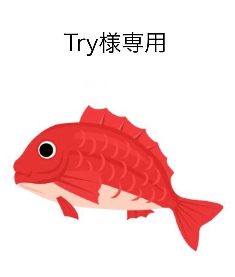 タイラバ タングステン Try様