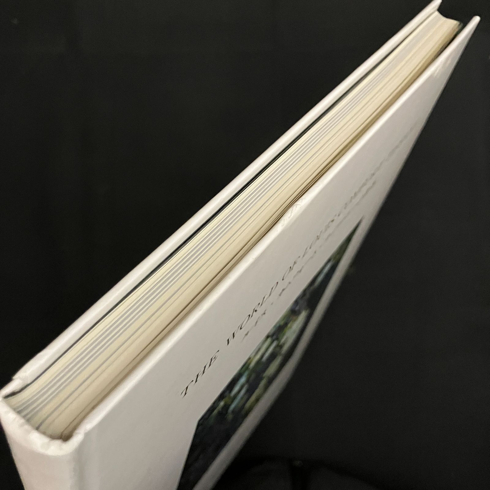 ルイスカムフォートティファニー展覧会図録,1994年￼ ルイスカムフォートティファニー展覧会図録,1994年￼ 書