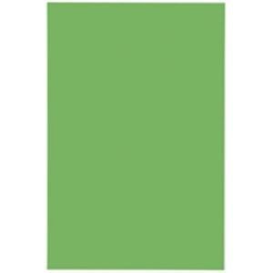 クーポン配布中-スーパー 対象 ジョインテックス マグネットシート ワイド ツヤ無し 油性マーカー可 緑 B209J-G-10