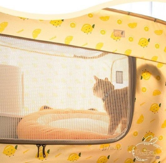 折りたたみ 小動物