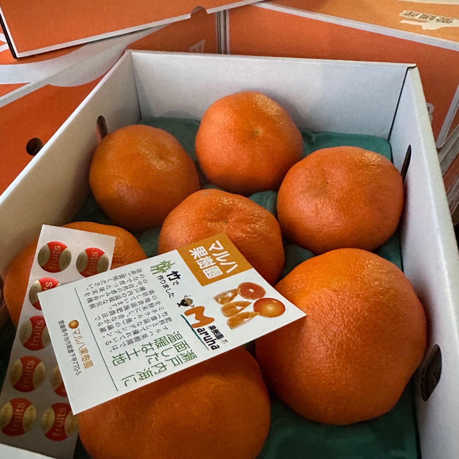 甘平 3kg BIGサイズ！送料無料＊新品 - メルカリ