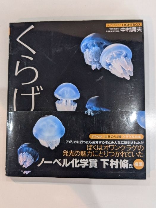 くらげ (アスペクトライトボックスシリーズ) アスペクト 中村 庸夫