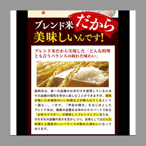 新米 令和7年産『甲佐の輝き』精米10ｋｇ（5kg袋×2袋） 新米 令和7年産『甲佐の輝き』精米10kg（5kg袋×2袋） 2025.11精米