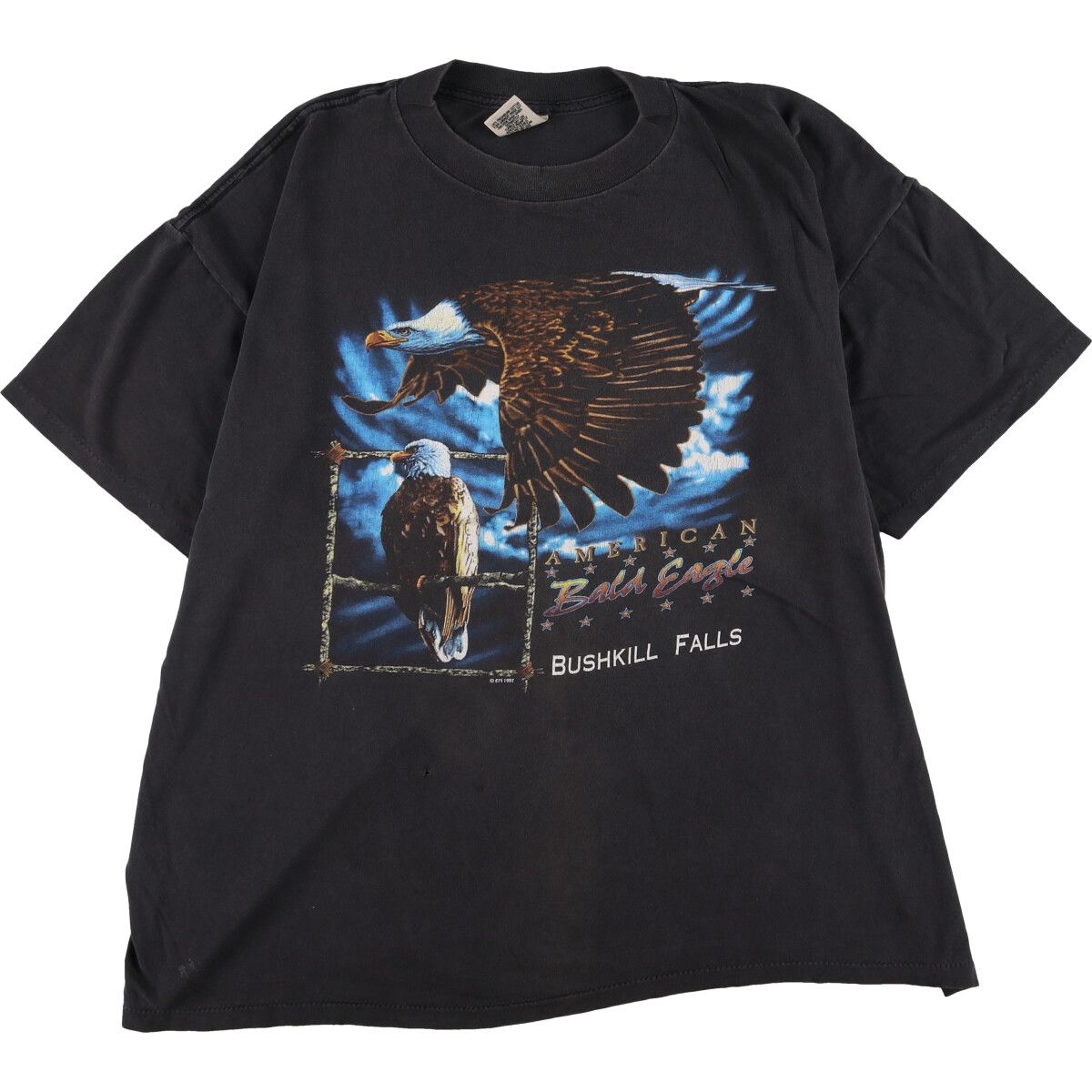 古着 90年代 EAGLE PRODUCTS 鷲柄 イーグル柄 アニマルプリントTシャツ