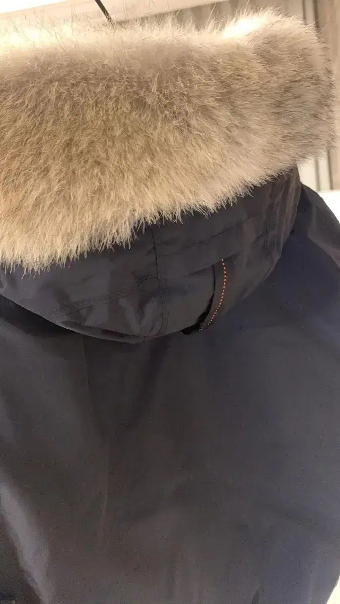 パラジャンパーゴビを売っています