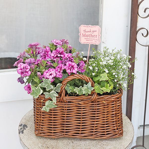 母の日にも♪ 寄せ植え 花□大人可愛いバスケット（HANABASS