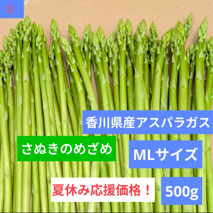 ②夏休み特価！アスパラガス500g【MLサイズ】さぬきのめざめ
