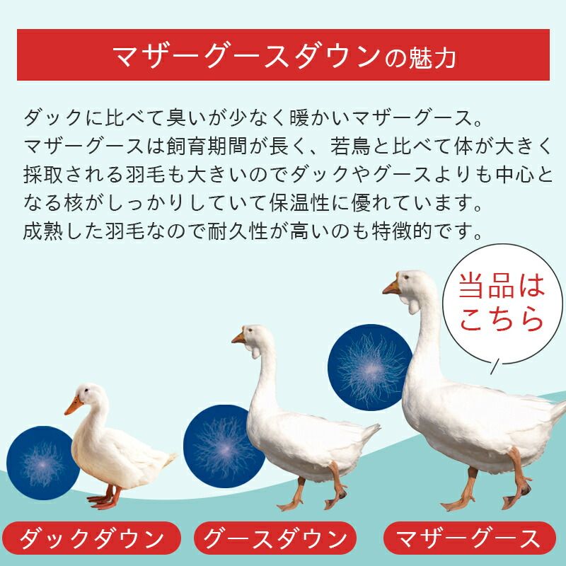 ゴア
