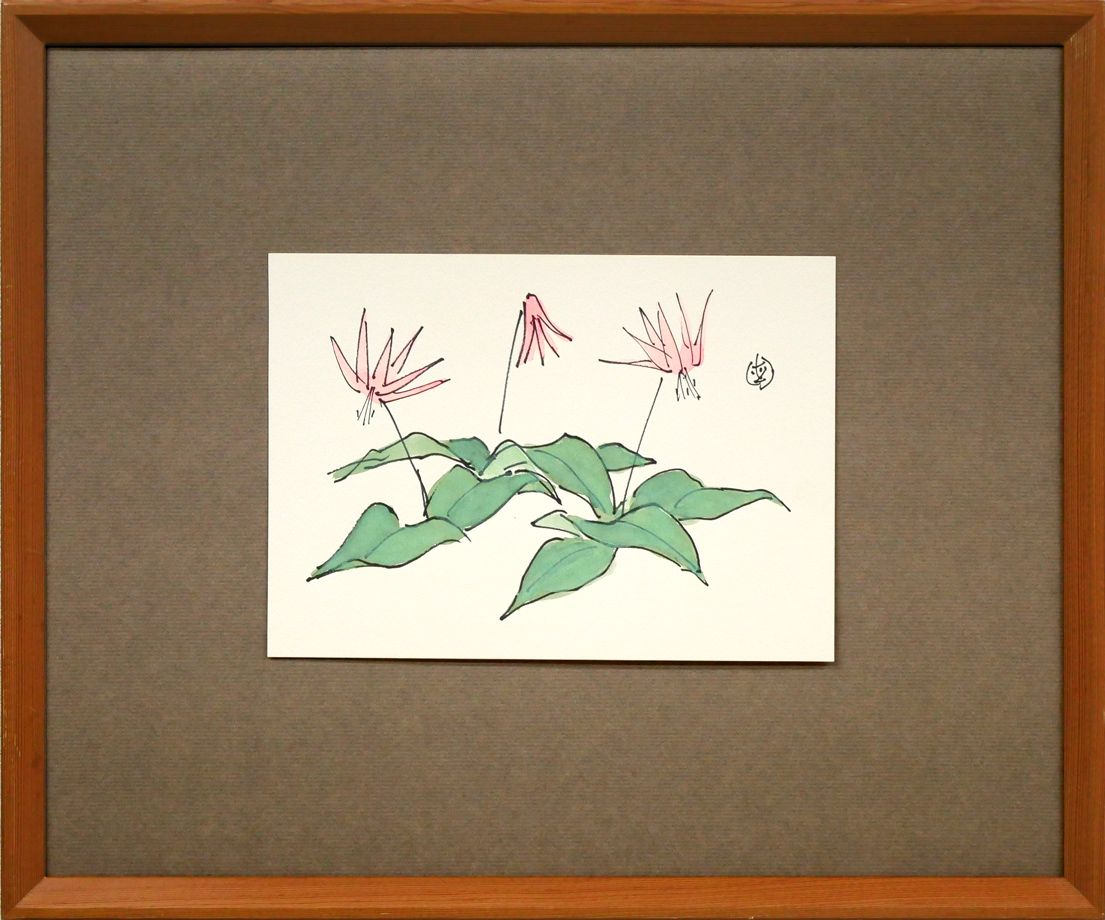 坂本直行　ふきのとう　水彩画　真作　六花亭　銘菓　貴重　北海道 坂本 直行「かたくり」水彩画・SM 六花亭包装紙 北大山岳部OB
