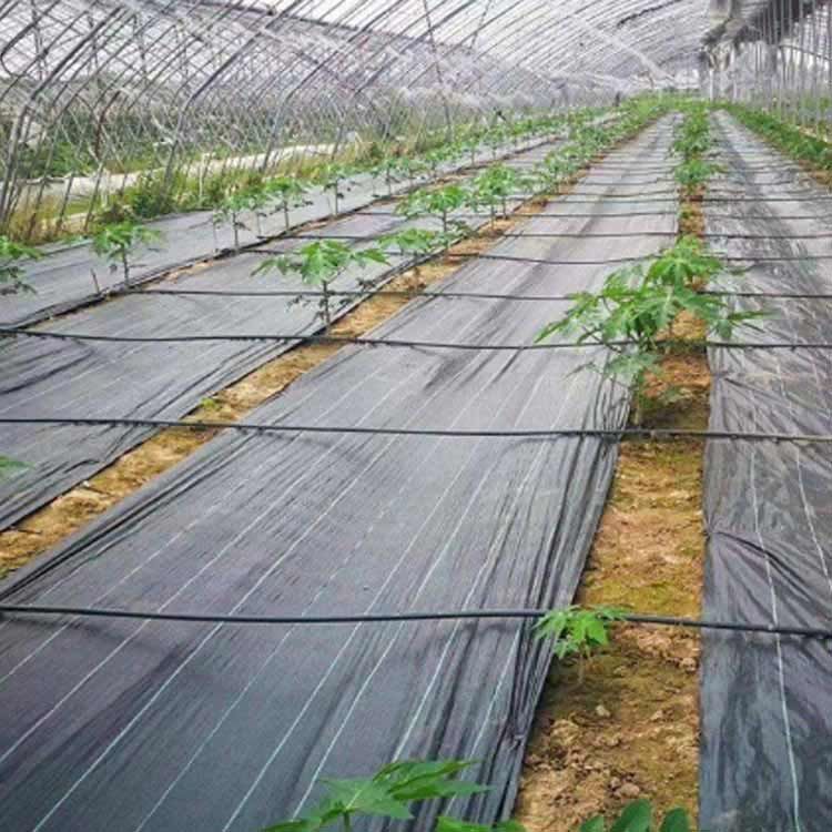 除草