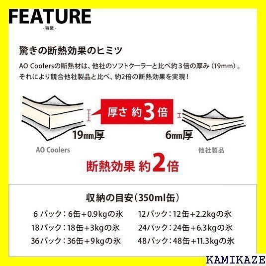 ☆在庫処分 5年 AO Coolers エーオークーラーズ バック ラーバッグ 冷