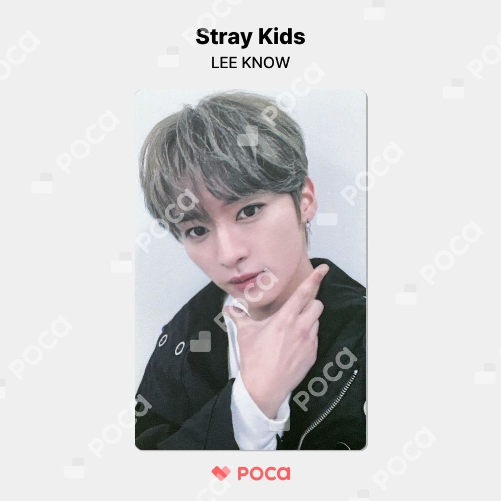 StrayKids oddinary soundwave ラキドロ リノ 【公式通販】
