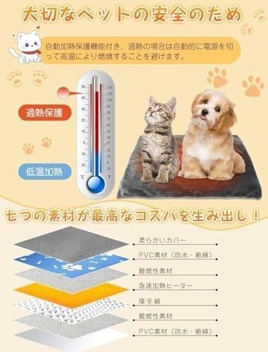 犬