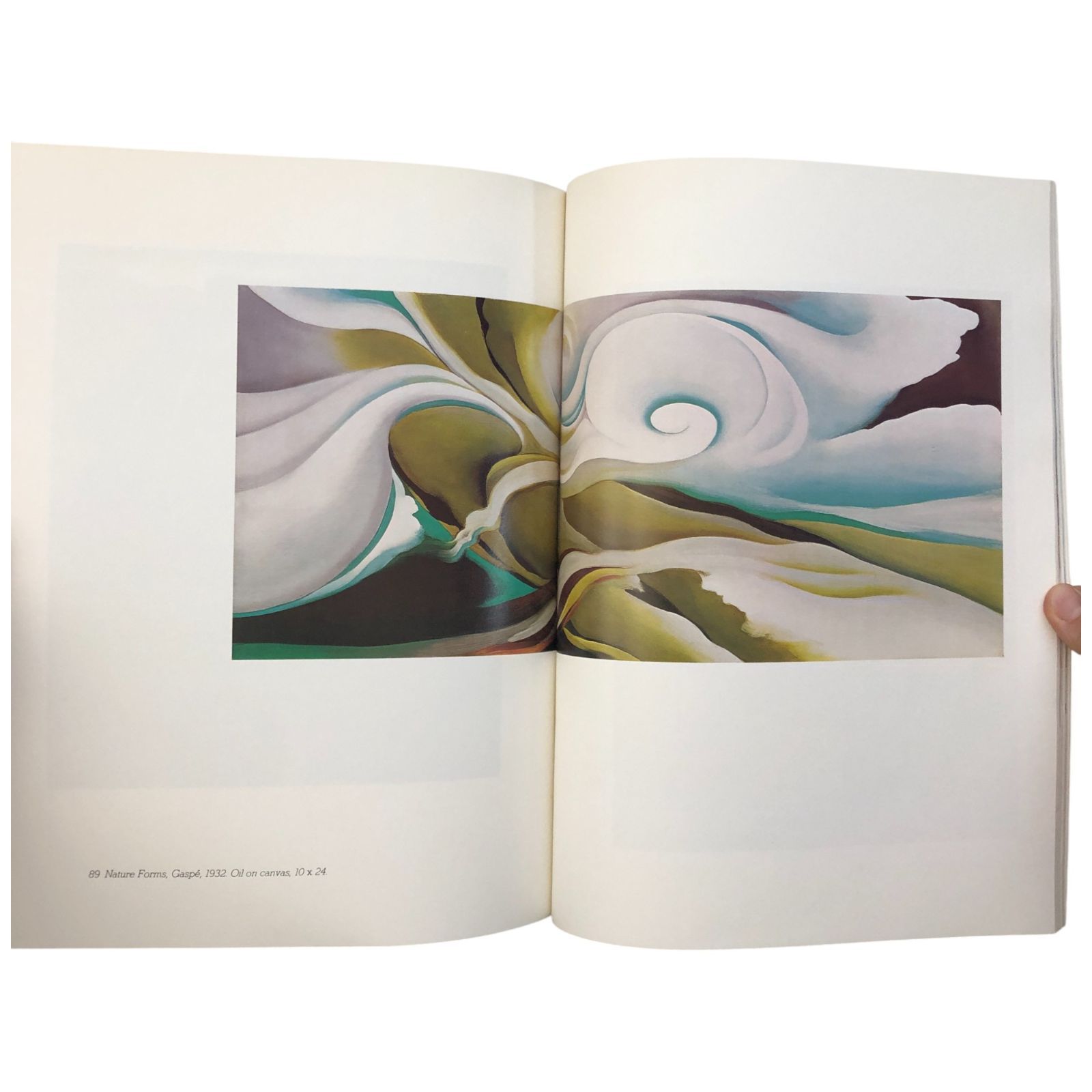 ジョージア・オキーフ、春、高級画版集の一部、新品額付 Georgia O'Keeffe（ジョージア・オキーフ） Georgia O'Keeffe