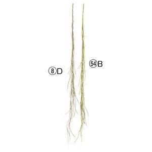 3営業日で発送 アスカ Asca バインガーランド A-44591-008D 入数 8