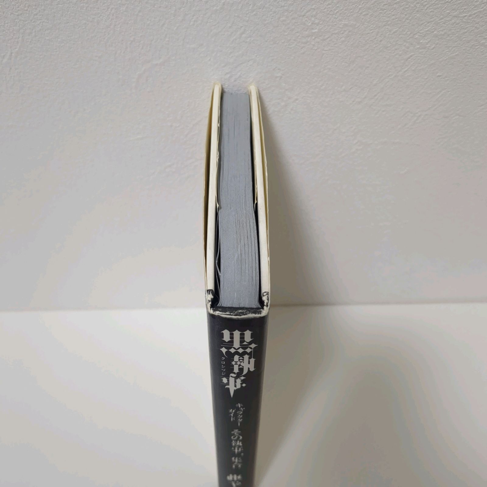 既刊１～３４巻＋関連本３冊