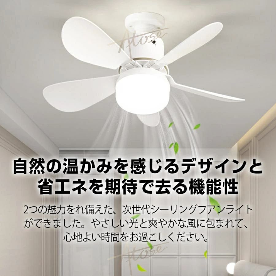 タイマー サーキュレーター