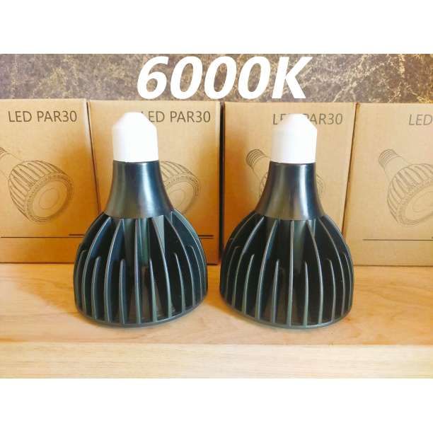 植物育成ライト 30W 6000K 2個 黒色 太陽光 フルスペクトルLED