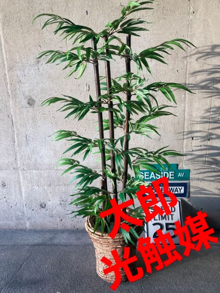 光触媒 人工観葉植物 ウォールグリーン フェイク フラワー 黒竹花器付