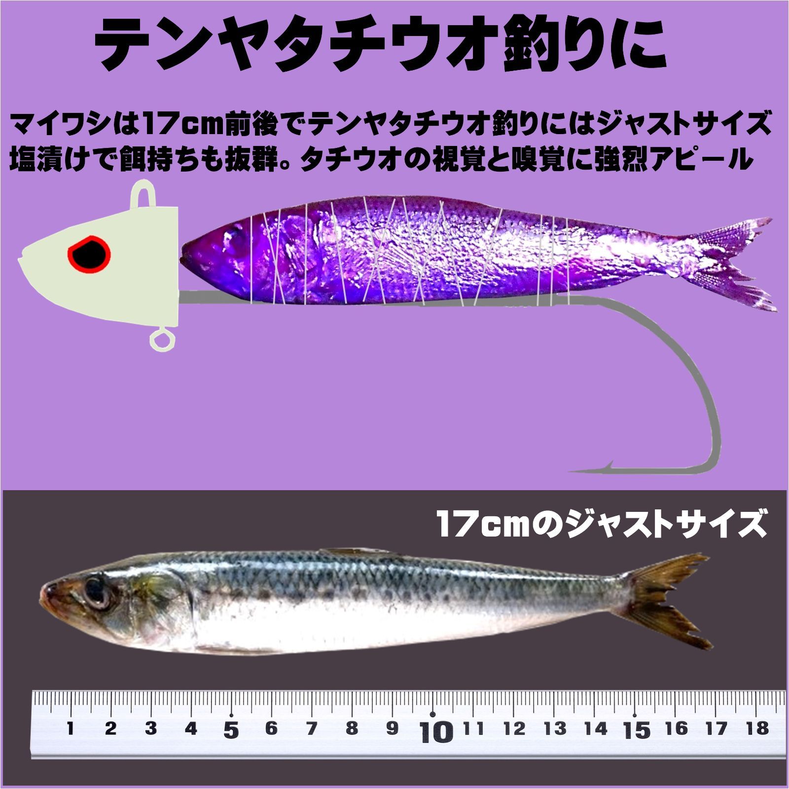 テンヤタチウオ 餌 テンヤ太刀魚 仕掛け 激臭にんにくアミノ酸配合 紫外線蛍光発光 ケイムラパープル 塩締め マイワシ 17cm前後 ５尾入 テンヤタチウオ  仕掛けタチウオ 餌 タチウオ エサ 太刀魚 餌 太刀魚 エサ テンヤタチウオ 餌 テンヤタチウオ エサ メルカリ