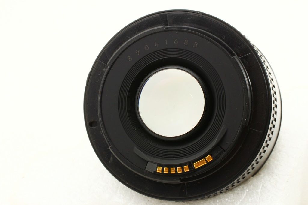 中国古美術・四尺鹰掛軸・宣紙・国画・郎世寧印款印款・書道・肉筆・