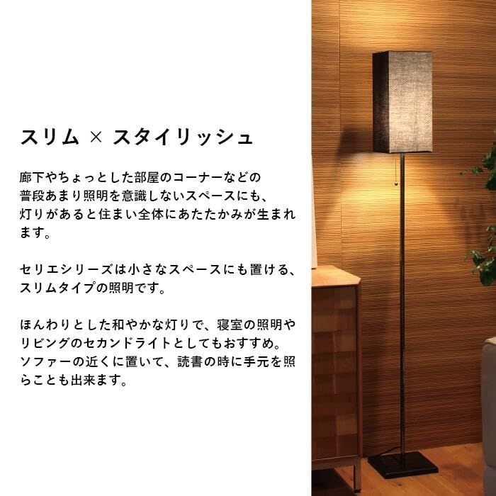 白熱球1灯付属