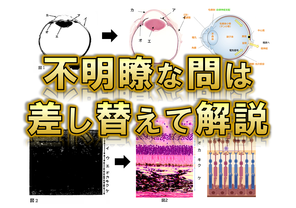 【滋賀医科大学】2年分 解答解説 医学部学士編入