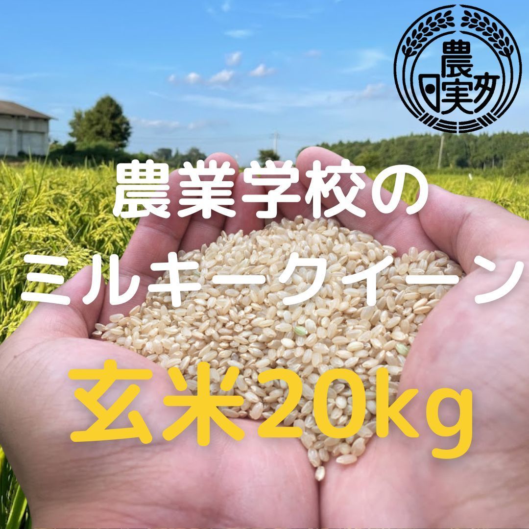 農業学校の【ミルキークイーン】玄米20kg【令和5年産新米】お米20キロ販売再開9月下旬予定