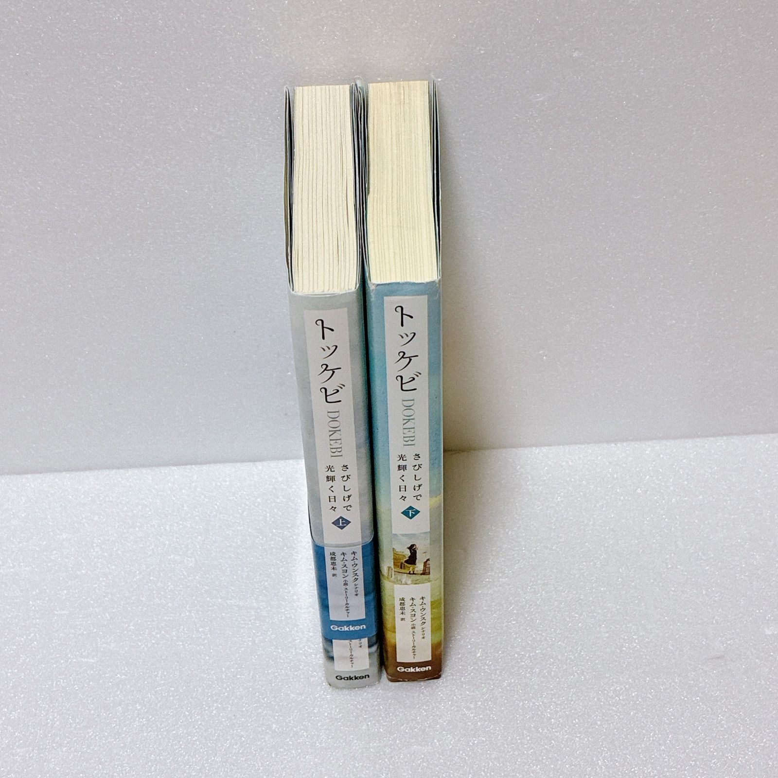 大人気韓流ドラマ原作小説！「トッケビ」上下巻セット - メルカリ
