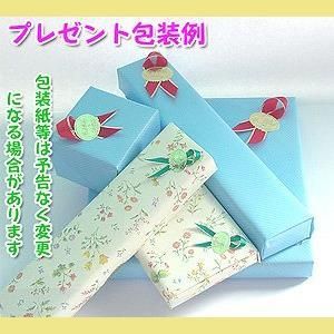 イヤリングセットピーコック系カラー|黒蝶貝パール9.0ミリチサイズ 日本製