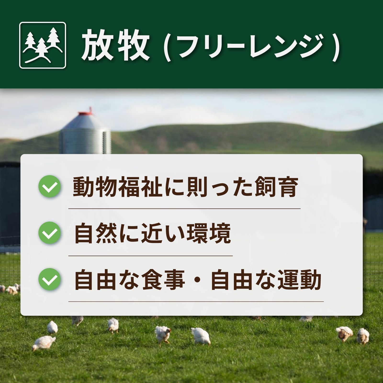 無添加グラスフェッドビーフボーンブロス390g - HORIZON FARMS - メルカリ