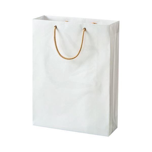 まとめ TANOSEE ビニールカバー付手提げ袋 M ヨコ330×タテ440×マチ幅110mm 白無地 1パック 10枚 ×3セット